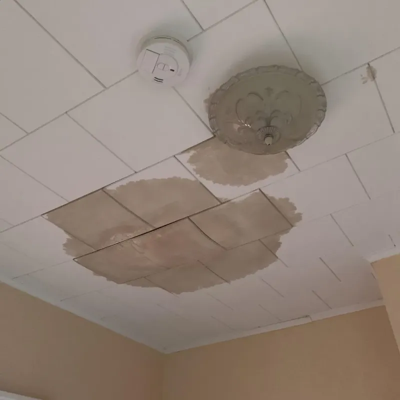Ceiling Water Damage Repair in Monmouth, IL