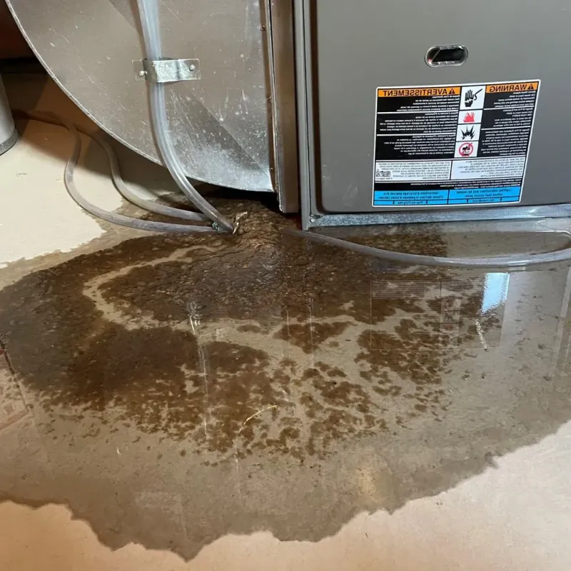 Pipe Burst and Leak Restoration in Monmouth, IL