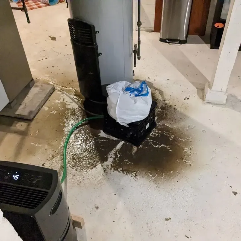 Sewage Backup Cleanup Service in Monmouth, IL